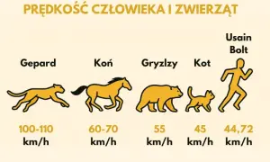 Z jaką prędkością biega przeciętny człowiek? Odkryj zaskakujące fakty