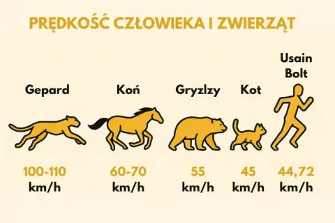 Z jaką prędkością biega przeciętny człowiek? Odkryj zaskakujące fakty
