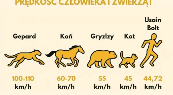 Z jaką prędkością biega przeciętny człowiek? Odkryj zaskakujące fakty